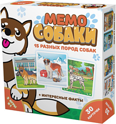 Нескучные игры Мемо Собаки 834536