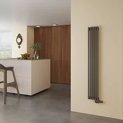 Радиатор отопления Faberg Toben 1/30 (черный матовый) Радиатор отопления Faberg Toben 1/30 (черный матовый)