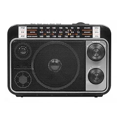 Радиоприемник Ritmix RPR-171