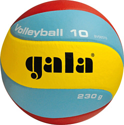 Gala Volleyball 10 (5 размер)
