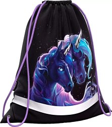 Мешок для обуви/формы Erich Krause Black Unicorn 62830 Мешок для обуви/формы Erich Krause Black Unicorn 62830