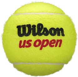 Wilson US Open WRT106200 (3 шт)