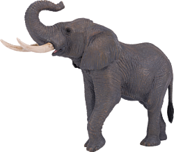 Konik Африканский слон Самец AMW2003