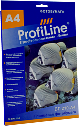 ProfiLine PL-GP-210-A4-50