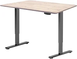 Стол с регулировкой высоты ErgoSmart Electric Desk Light 1200х600х27 мм (прямой край, дуб беленый/черный)