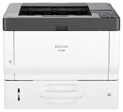 Ricoh P 501