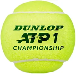 Dunlop ATP Championship (3 шт) Dunlop ATP Championship (3 шт)