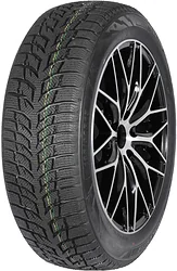 Autogreen Snow Chaser 2 AW08 205/60 R16 96H