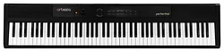 Цифровое пианино Artesia Performer