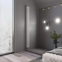 Радиатор отопления Faberg Extra 2 (белый) Радиатор отопления Faberg Extra 2 (белый)