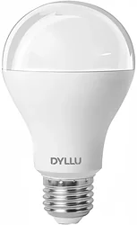 Лампочка Dyllu DTDN15141
