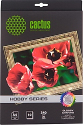 CACTUS Хлопковый холст A4 340 г/кв.м. 10 листов (CS-СGA426010)