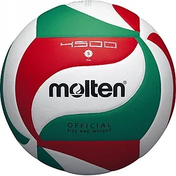 Molten V5M4500 (5 размер)