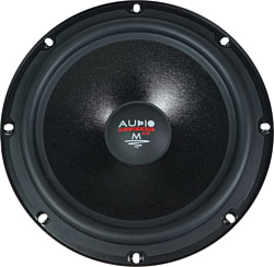 Audio System MS 200 EVO