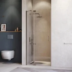 Душевая дверь RGW HO-014Gr 350601410-110 Душевая дверь RGW HO-014Gr 350601410-110