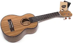 Акустическая гитара Tom TUS-200 Акустическая гитара Tom TUS-200