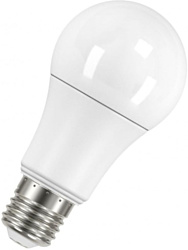 RADIUM LED A100 E27 12 Вт 6500 К