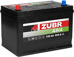 Zubr 100 Ah ZUBR Premium Asia L+