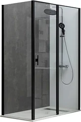 Душевой уголок Allen Brau Priority 120x80 304226 (черный браш)