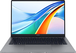 HONOR MagicBook X 14 Pro 2024 FRI-G56 5301AHQF