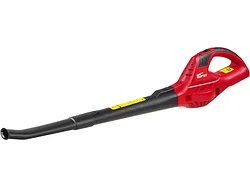 Воздуходув Wortex BB 1218 D