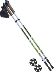 Палки для скандинавской ходьбы ATEMI ATP04