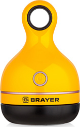 BRAYER BR5033