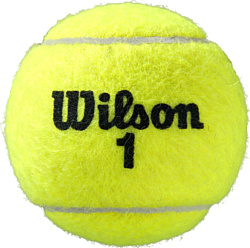 Wilson Roland Garros All Court WRT126400 (3 шт)