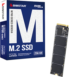 BIOSTAR M760 256GB M760-256GB