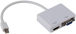 mini-DisplayPort - HDMI/VGA