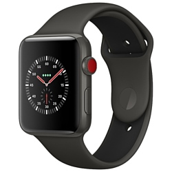 Apple Watch Edition Series 3 42mm with Sport Band