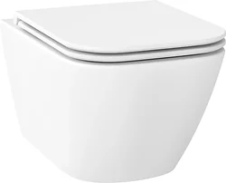 Унитаз Wellsee Pure BY Wellsee RimFree 182603001 (чаша, пневмокрышка, матовый белый)