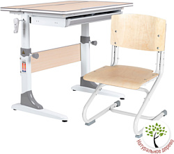 Anatomica Study-80 + стул + выдвижной ящик со стулом СУТ-01-01 фанера клен/белый (клен/серый)