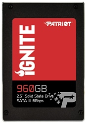 Patriot Memory PI960GS25SSDR