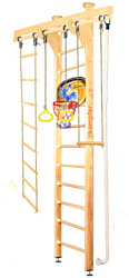 Kampfer Wooden Ladder Ceiling Basketball Shield Высота 3 (без покрытия)