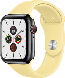 Apple Watch Series 5 44mm GPS + Cellular Stainless Steel Case with Sport Band