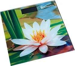 Напольные весы Василиса ВА-4011 Напольные весы Василиса ВА-4011