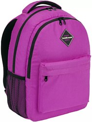 Школьный Erich Krause EasyLine 20L Neon Violet 48614 Школьный Erich Krause EasyLine 20L Neon Violet 48614