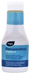 Viyo Recuperation Dog