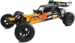 BSD Racing 1/10 2WD Brushed Baja