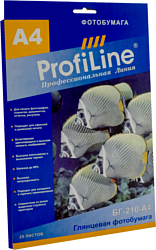 ProfiLine PL-GP-210-A4-25