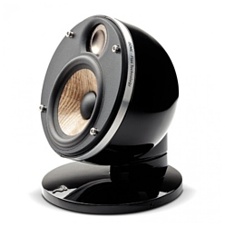 Focal Dome Flax satellite