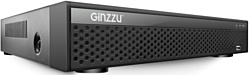 Ginzzu HP-810