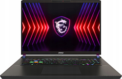 MSI Vector 17 HX A14VIG-899RU MSI Vector 17 HX A14VIG-899RU