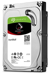 Seagate IronWolf 10 TB ST10000VN0008