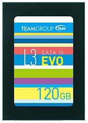 Team Group T253LE120GTC101