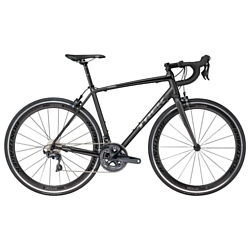 TREK monda ALR 6 (2018)