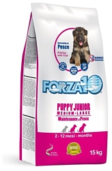 Forza10 Maintenance Puppy Junior Medium/Large из рыбы (15 кг)