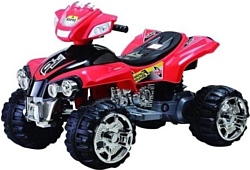 Wingo TIGER QUAD