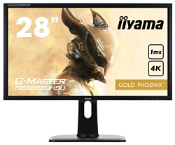 Iiyama G-Master GB2888UHSU-1